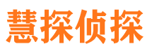 上林侦探公司